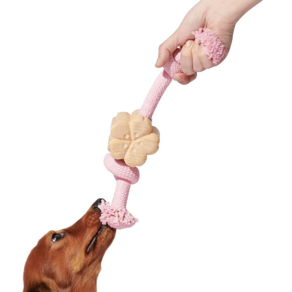 VETRESKA Dog Rope Toys - Durable Tug of War Dog Toy with Ergonomic Grip Heavy Duty Dog Rope Toy for Large Breed Dog Puppy Training Playing Teething Chew Toys Dog GiftsMedium