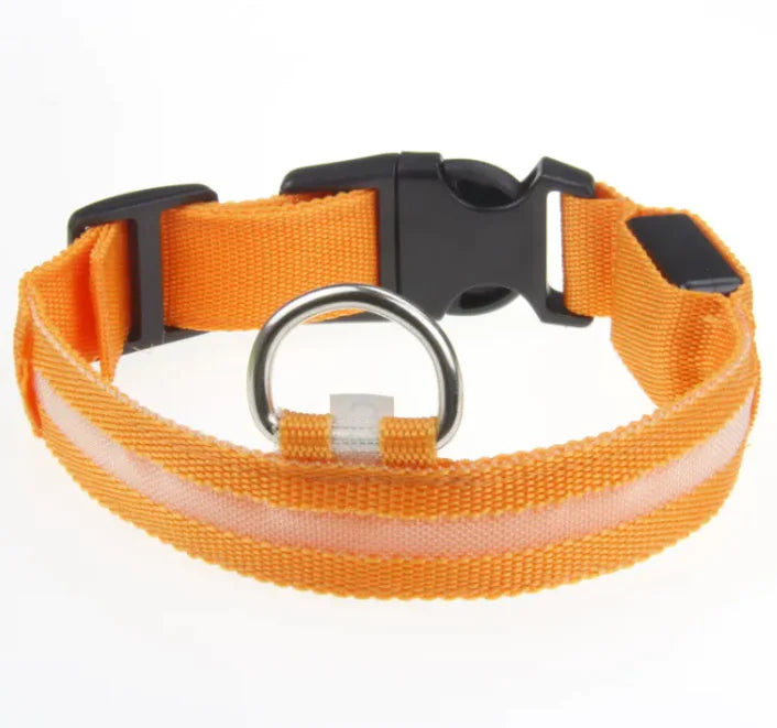LED Dog Collar
